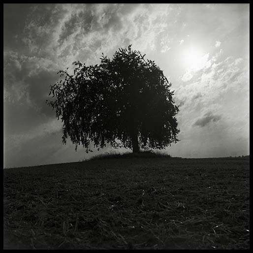 pole pod Rotejnem (field beneath Rotejn)